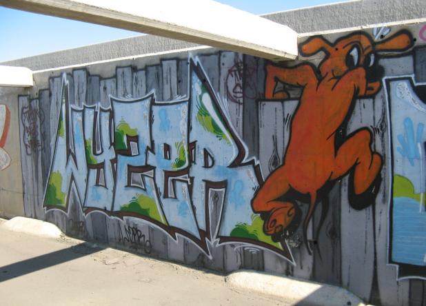 graffiti canal 5
