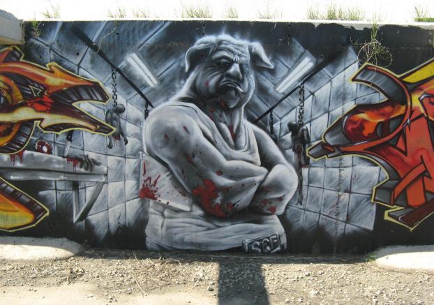 graffiti canal 56