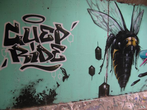 abeille monstrueuse noire
